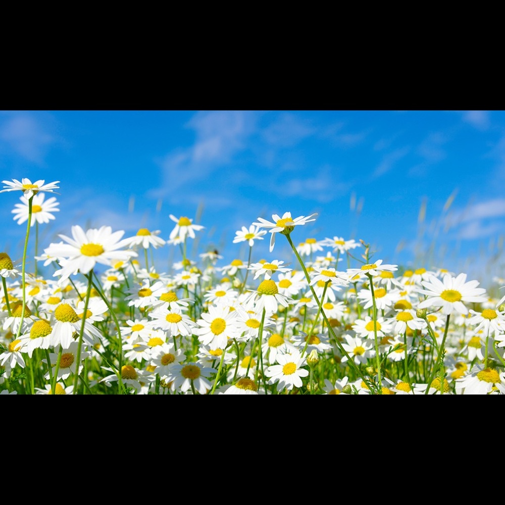 Meet your Posher, Ar